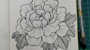 国花牡丹花的简笔画画法 你也是这样画牡丹的吗 哔哩哔哩 つロ干杯 Bilibili 国花牡丹花的简笔画画法 你也是这样画牡丹的吗 哔哩哔哩 つロ干杯 Bilibili