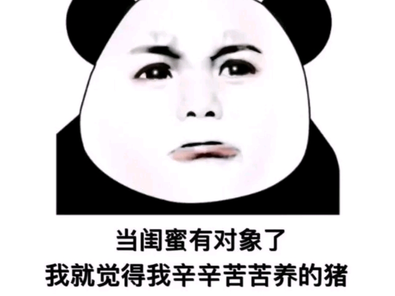 搞笑的表情包集锦一