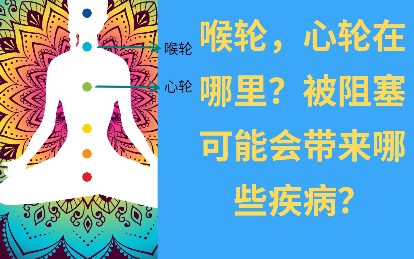 心轮,喉轮在哪里?他们和哪些器官有关?哔哩哔哩bilibili