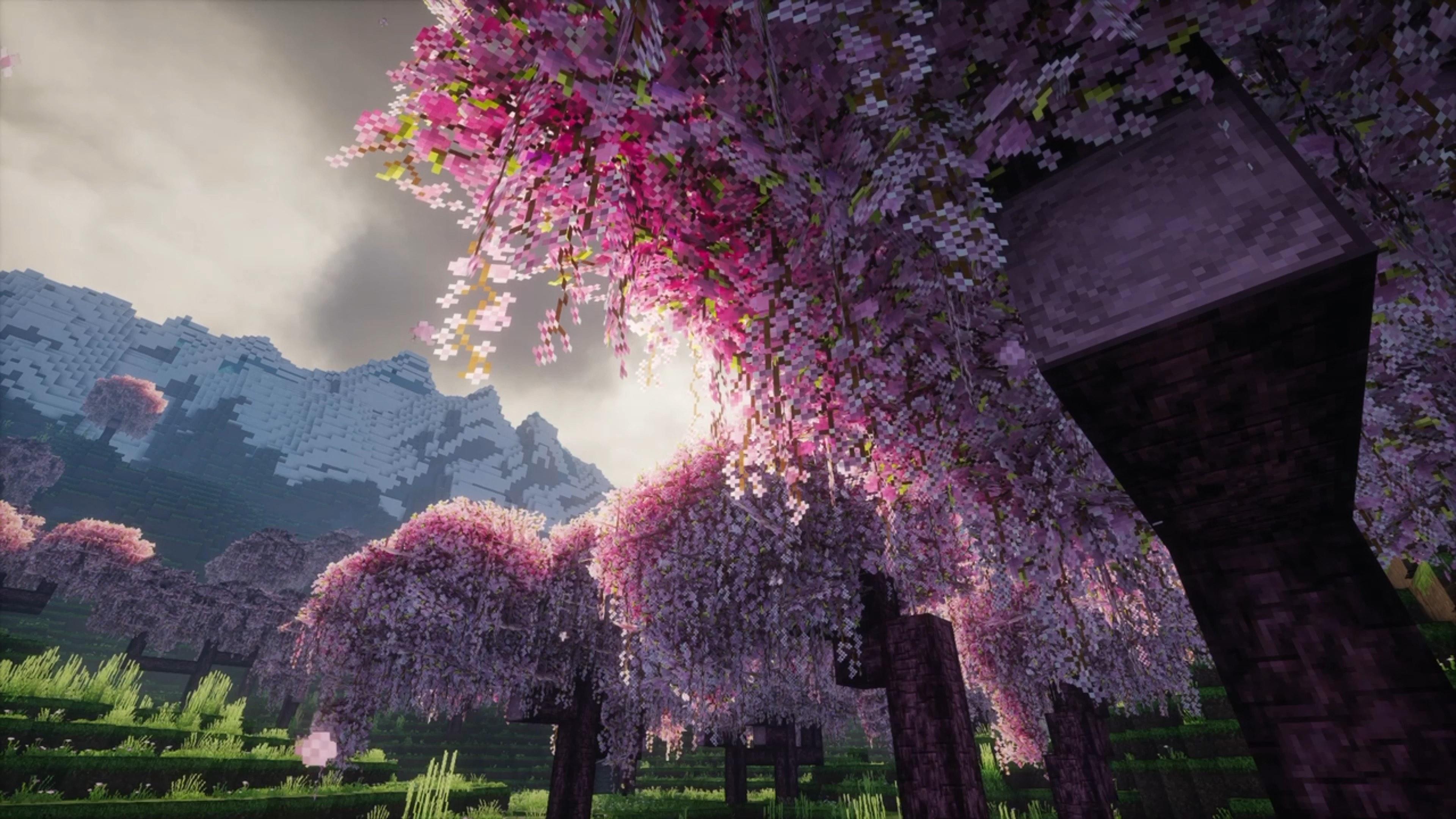 我的世界樱花 B站