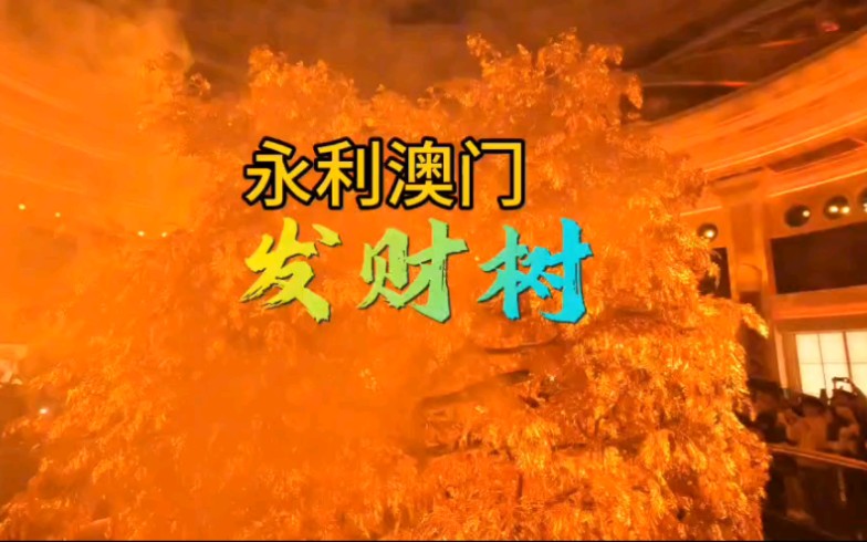 实拍永利澳门市值2亿的纯金发财树,每片叶都是纯金,见到发大财.