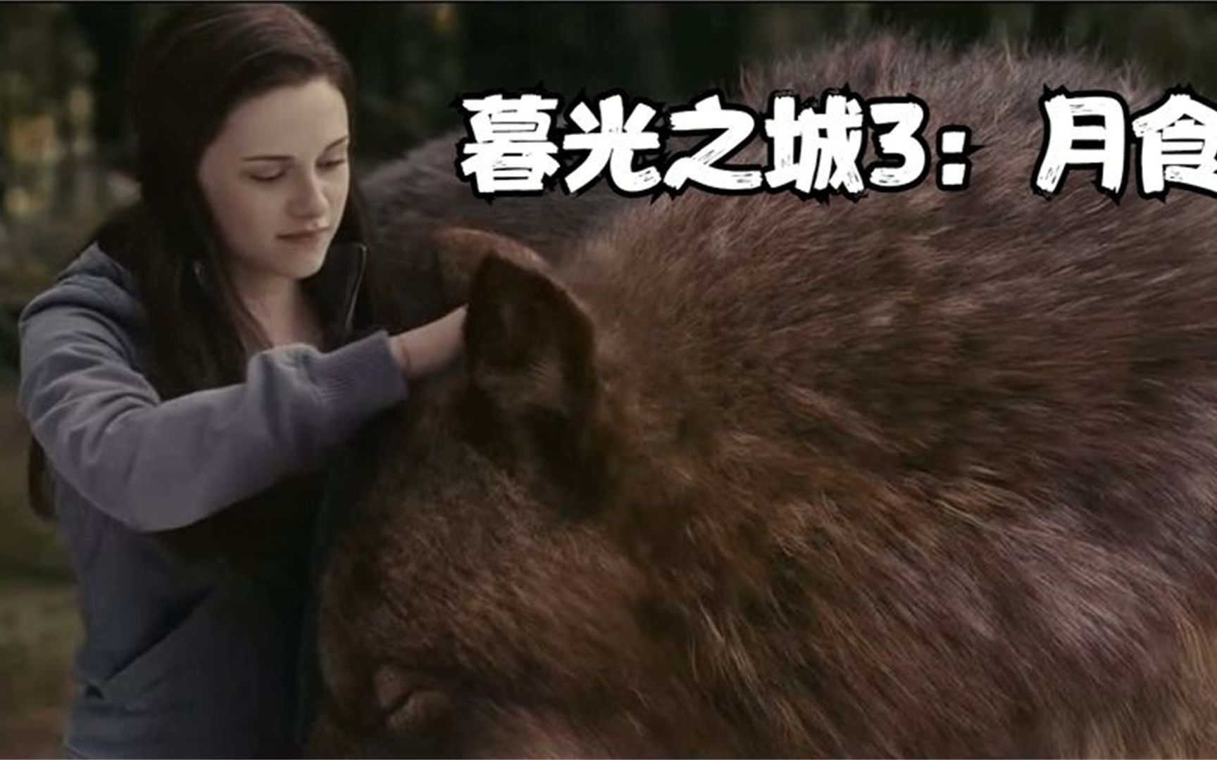 经典吸血鬼电影《暮光之城3》把狼人当鱼养,也只有贝拉干得出来