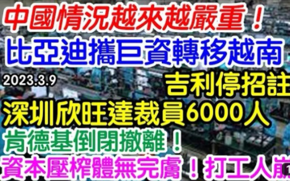 中国情况越来越严重 古利停招注销 比亚迪巨资转移越南 深圳欣旺达裁员6000人 肯德基倒闭撤离哔哩哔哩bilibili