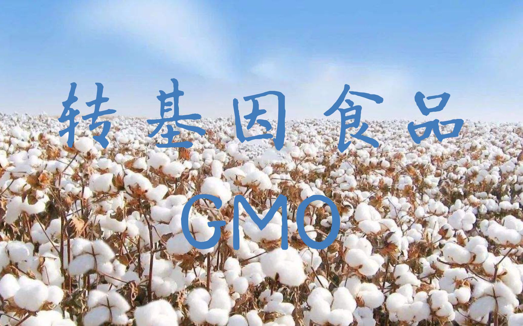 GMO | 转基因食品 | 南大分子生物学pre哔哩哔哩bilibili