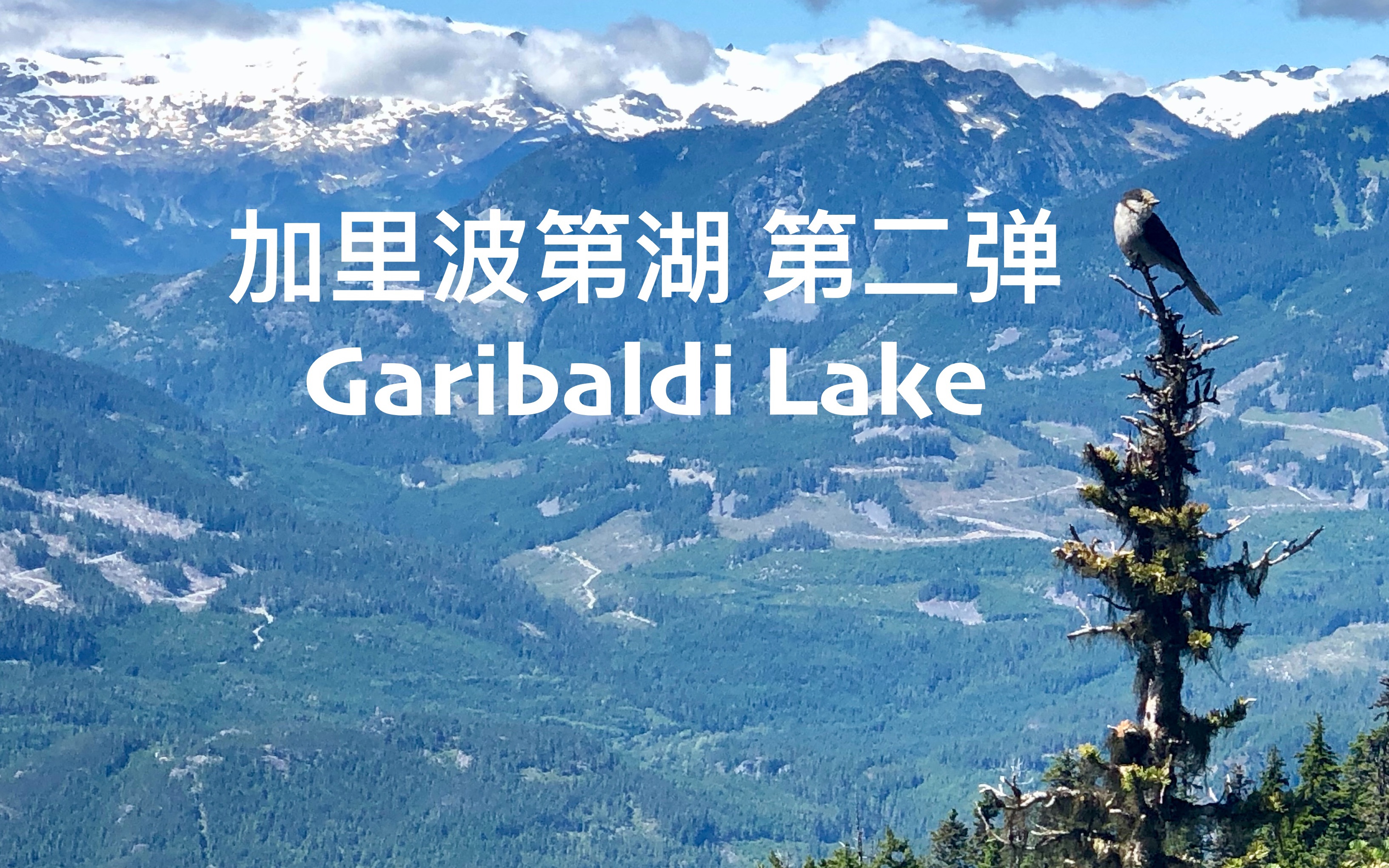 [图]加里波第湖之行 湖心岛 Garibaldi Lake