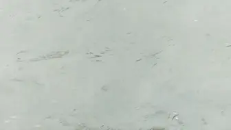 新 津 现 状