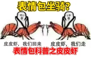 Скачать видео: 【表情包科普25】皮皮虾我们走？表情包坐骑？皮皮虾成为表情包的故事