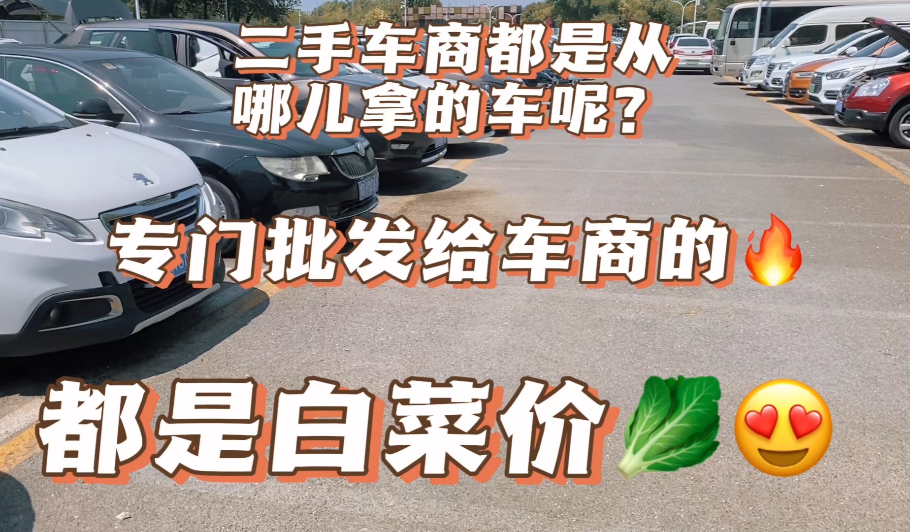 带你逛北京二手车买卖批发市场推荐几款家用代步练手车哔哩哔哩bilibili