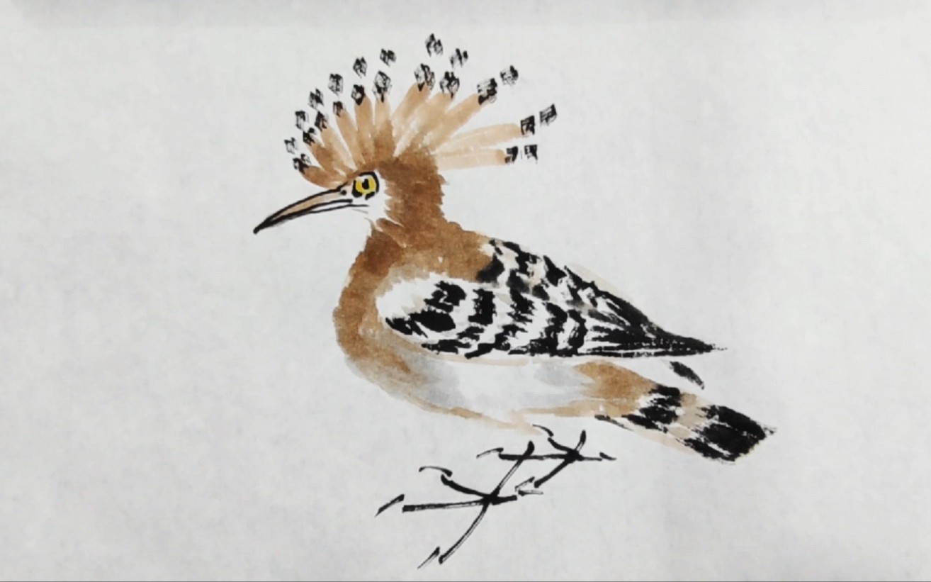 写意戴胜鸟的画法