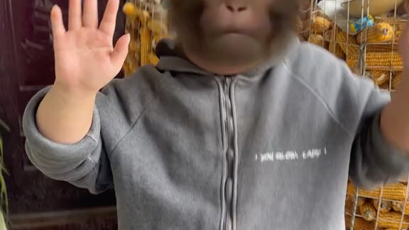 小鸭哥脸被打肿,开吗喽特效遮挡