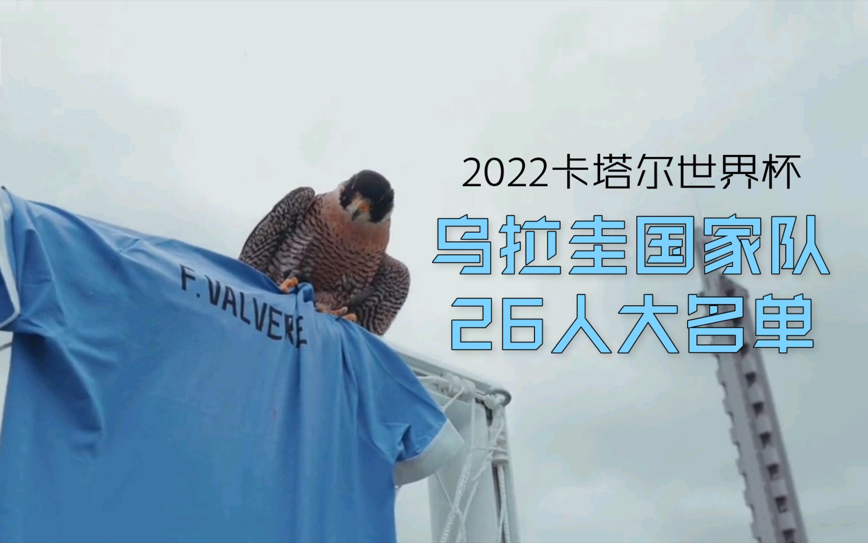 【卡塔尔世界杯】2022世界杯 乌拉圭国家队26人大名单哔哩哔哩bilibili