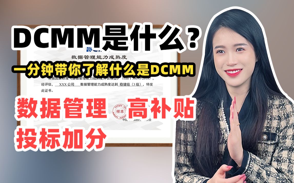 一分钟带你了解什么是DCMM?哔哩哔哩bilibili