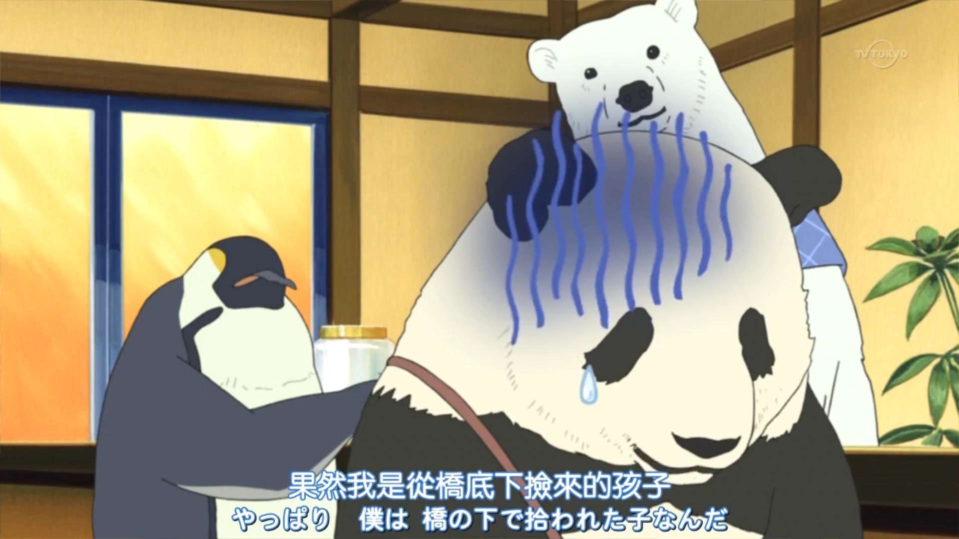 【白熊咖啡厅】萌萌的胖达君离家出走了!