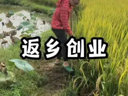 Video herunterladen: 这早就不是家了