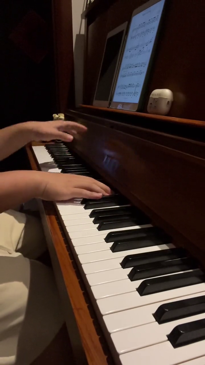 枫叶拉格泰姆钢琴ragtime