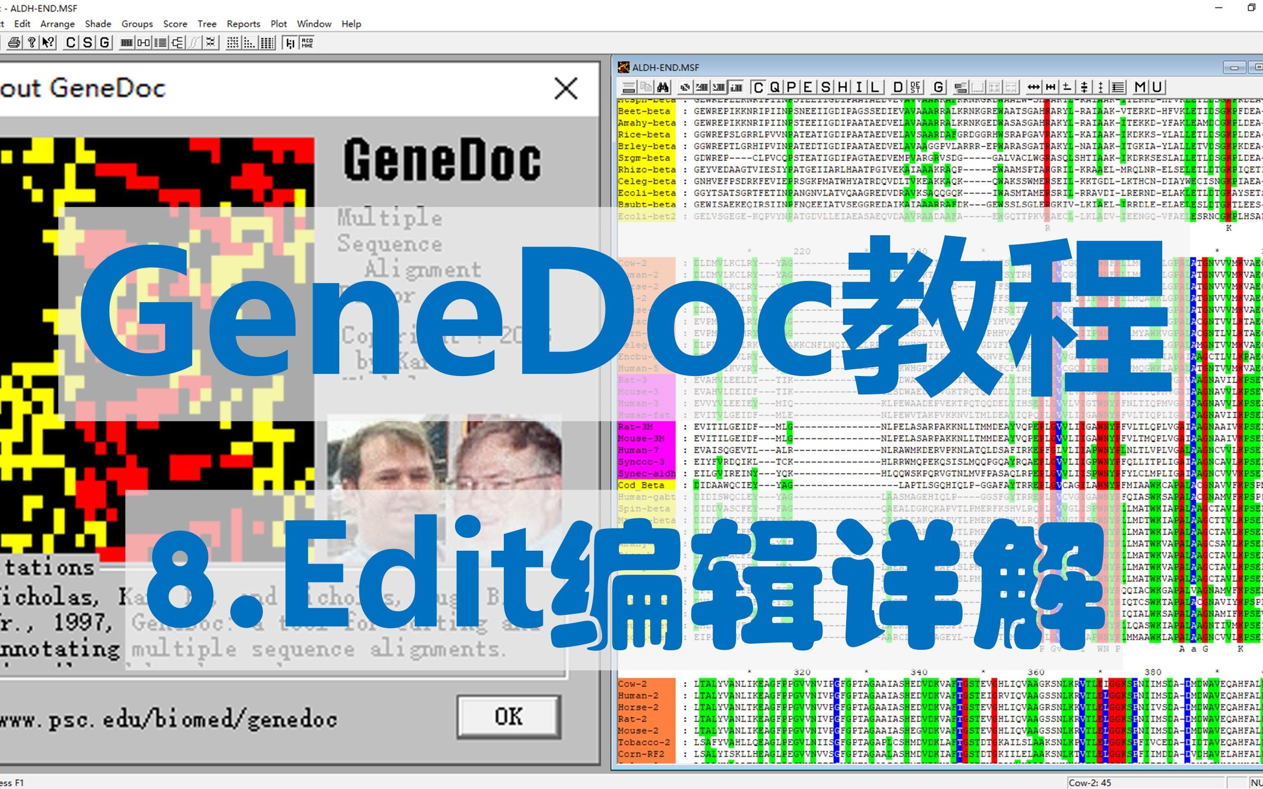 【四方居士】GD#8多序列比对美化软件GeneDoc编辑功能介绍哔哩哔哩bilibili