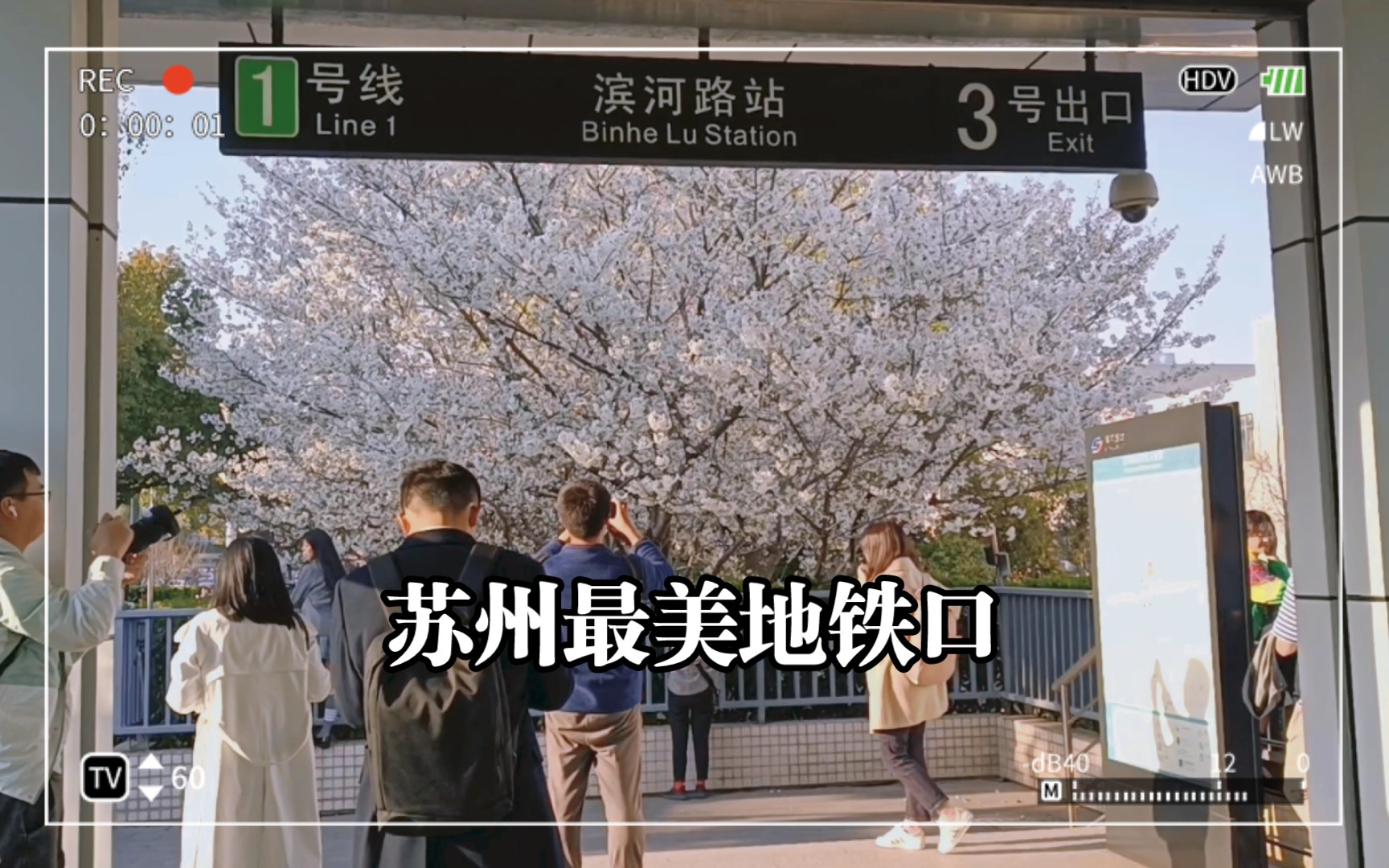 苏州最美地铁口 樱花开了|滨河路地铁站3号出口