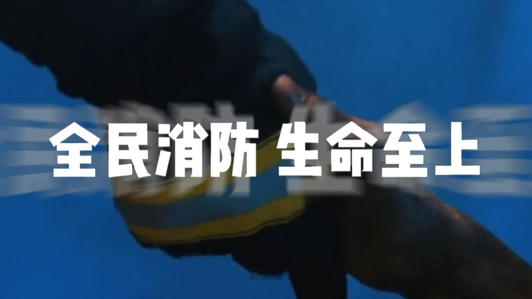 “全民消防、生命至上”——致敬每一位生命守护者！