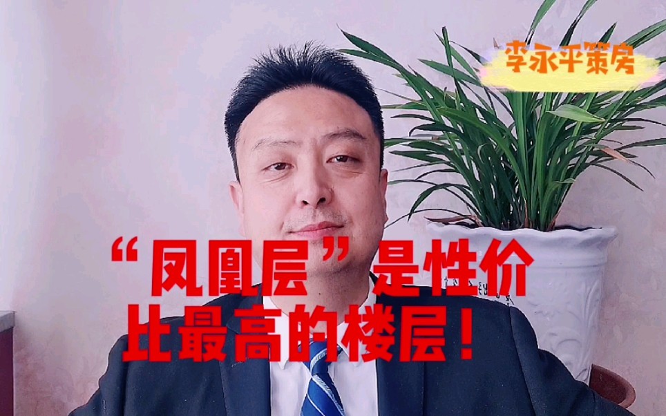 “凤凰层”是性价比最高的楼层!哔哩哔哩bilibili