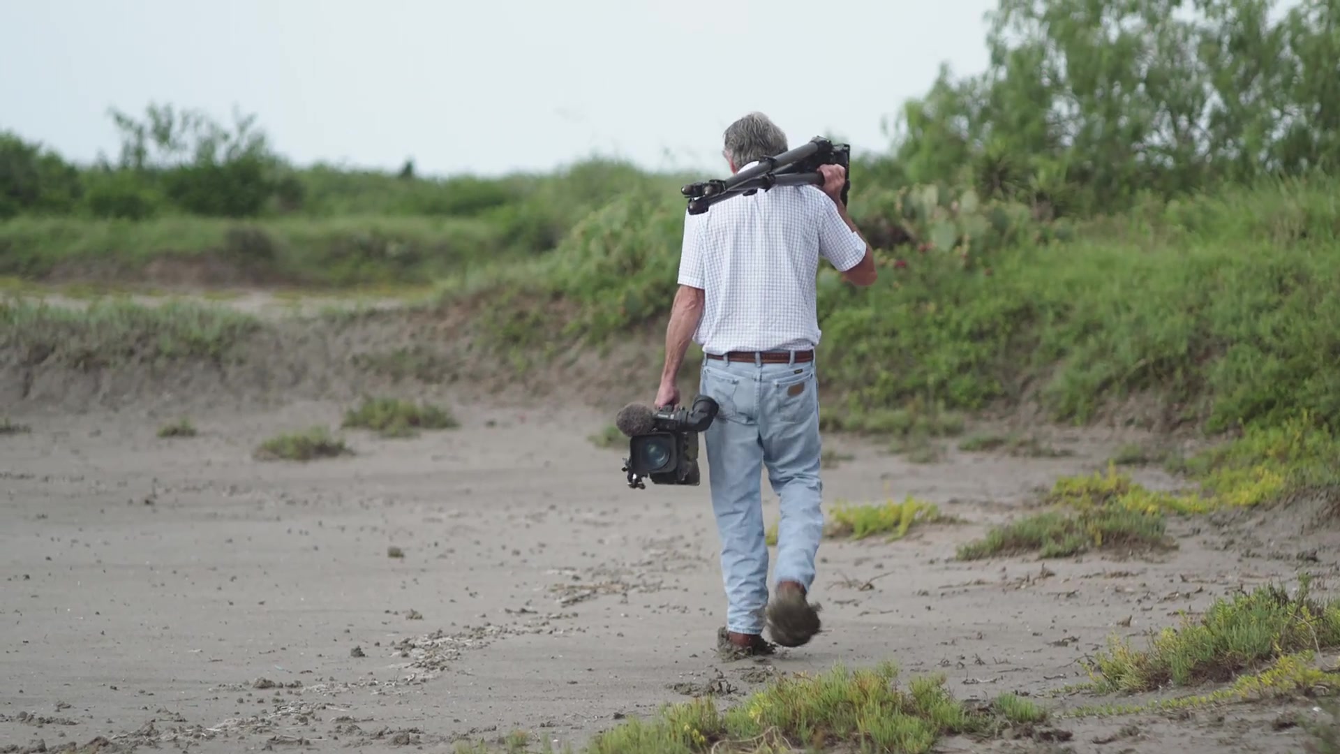 观鸟者.birders.1080p.中文字幕【远鉴字幕组压制分享】