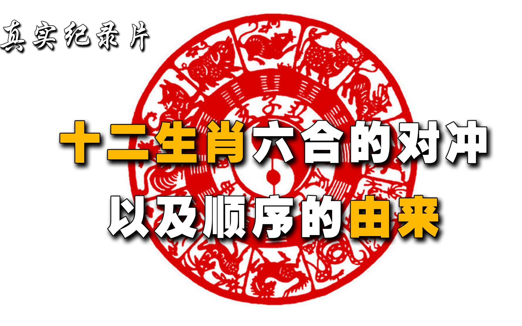 《十二生肖》真的有不同的性格?属相有相冲相配之说吗?哔哩哔哩bilibili