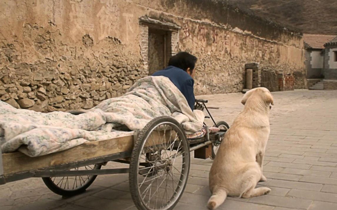 国产感人电影,农村残疾老人与狗的故事,一生相伴,相濡以沫十几年!