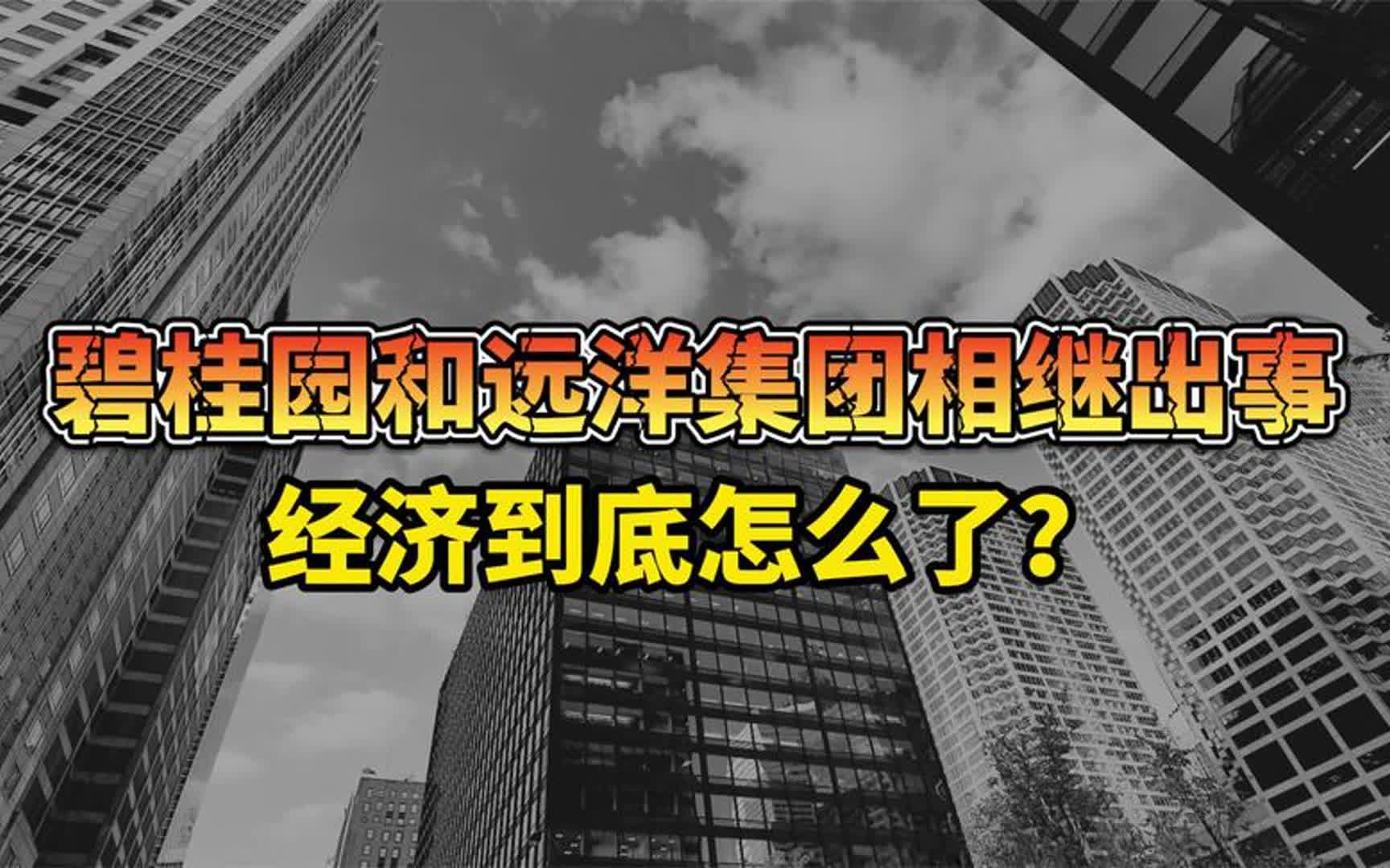 碧桂园和远洋集团相继出事,经济到底怎么了?哔哩哔哩bilibili