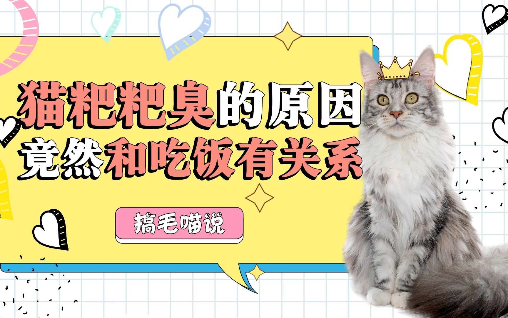 [图]猫粑粑为什么比狗粑粑臭