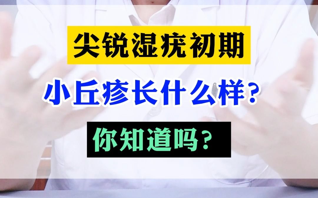 尖锐湿疣初期,小丘疹长什么样?你知道吗?哔哩哔哩bilibili