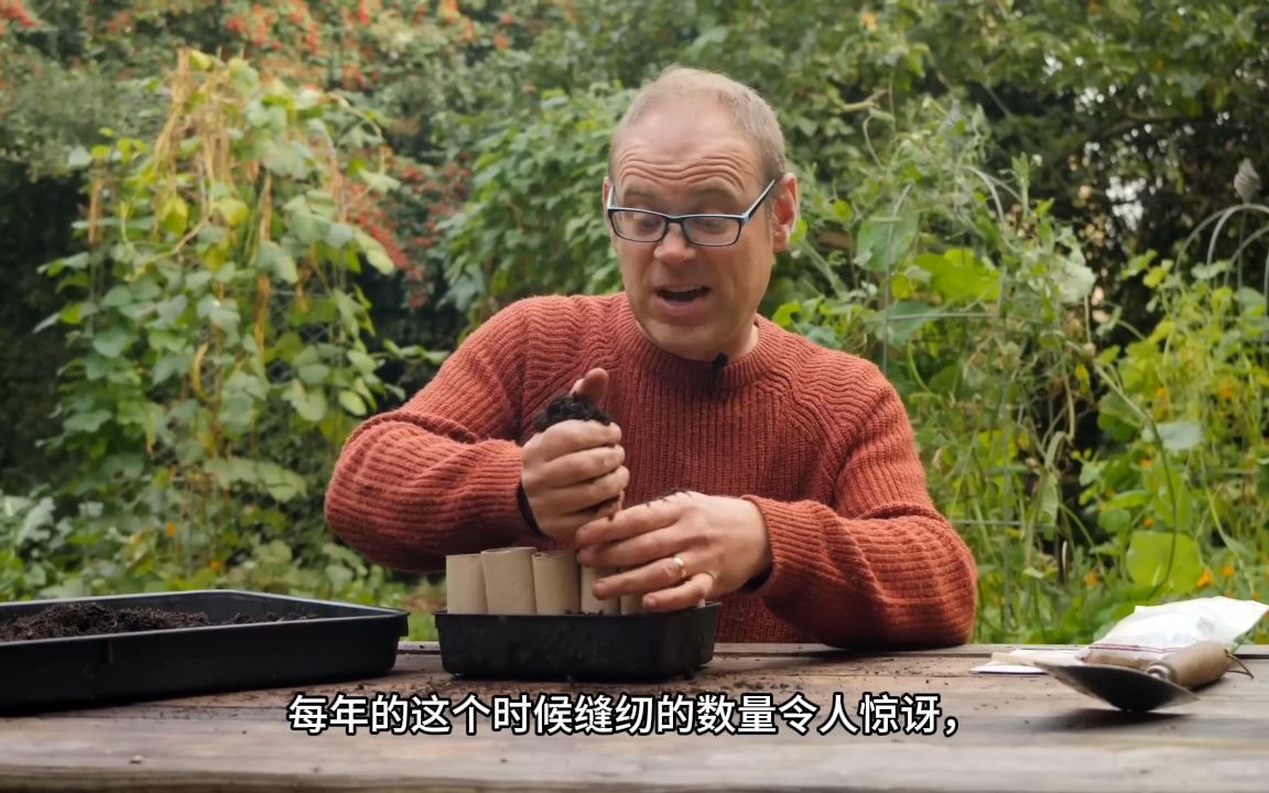 [图]11月种植推荐清单