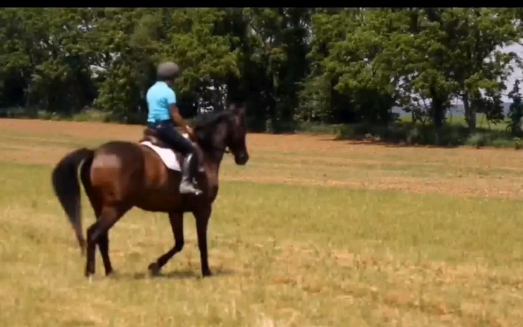 [图]马术教程 How to steer a horse while riding