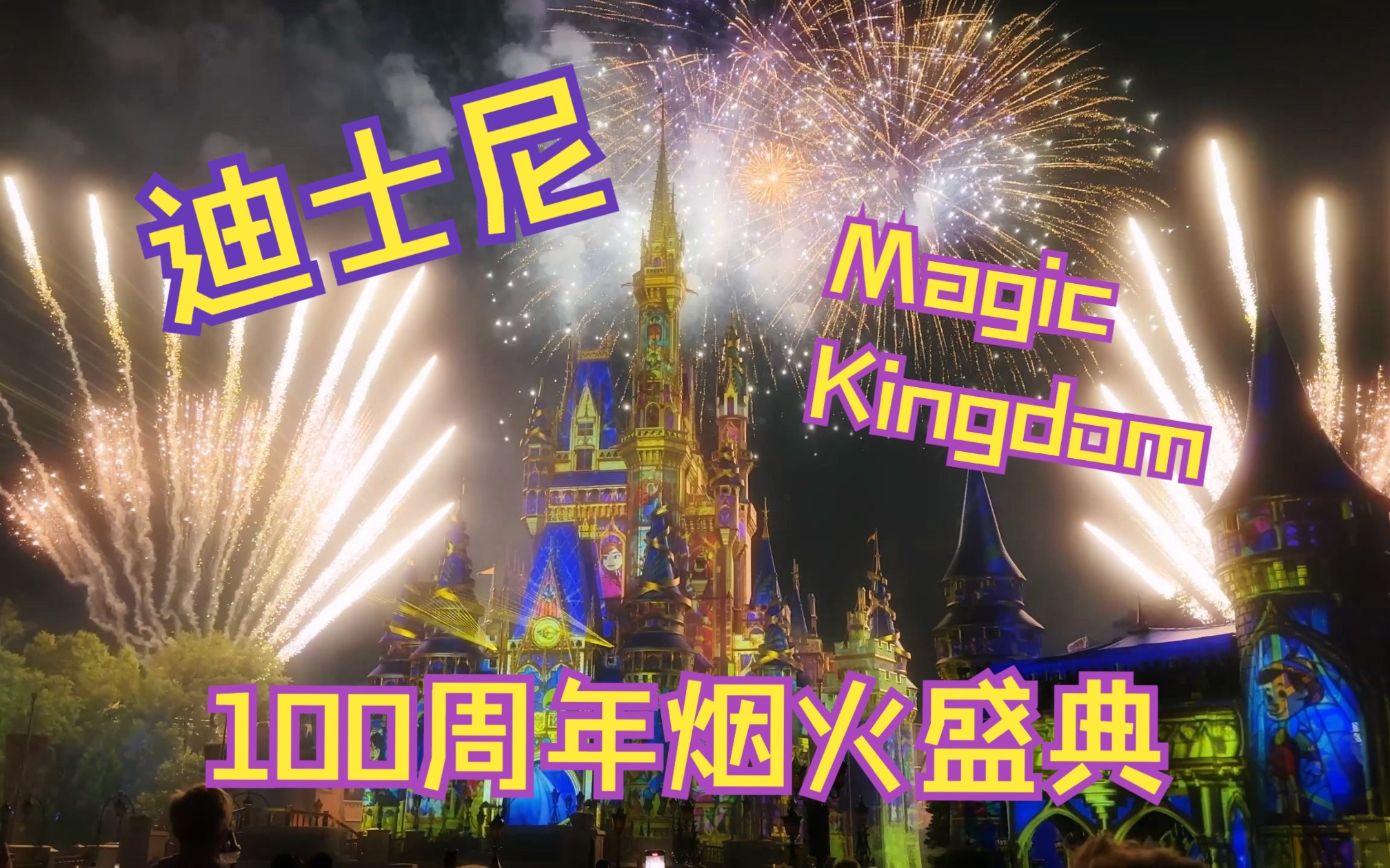 [图]迪士尼百年烟火盛典【Orlando Disney World】奥兰多迪士尼世界100周年 Magic Kingdom 魔法世界烟火秀