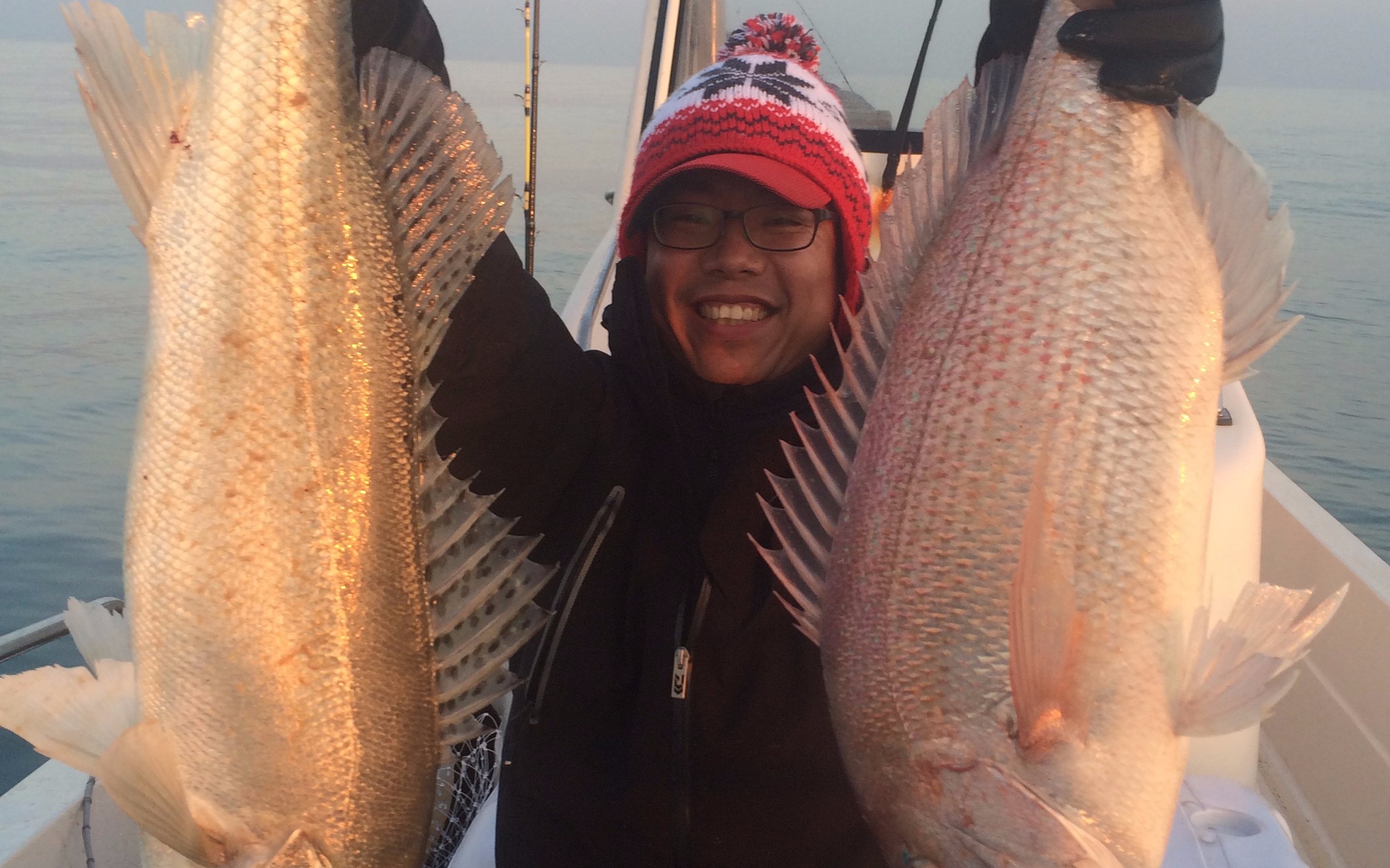 大真鲷出水 就问美不美