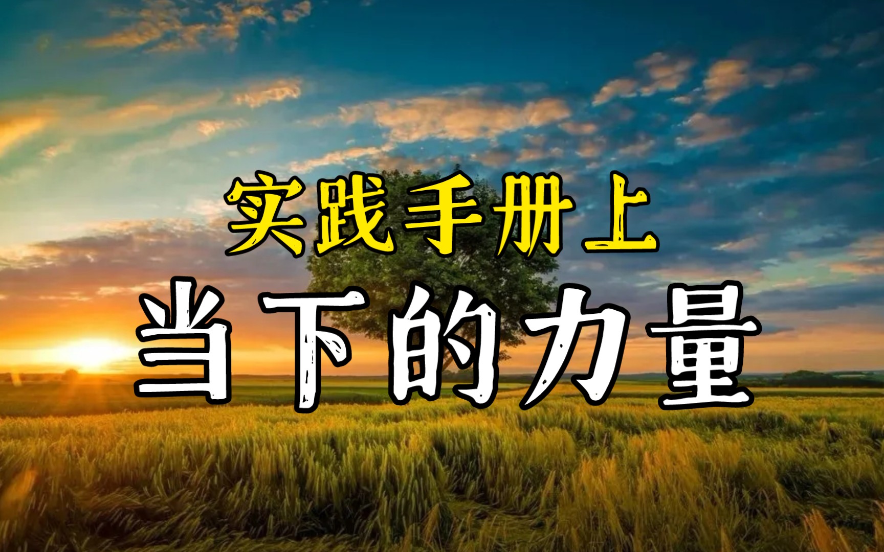 [图]《当下的力量实践手册》上【埃克哈特托利】