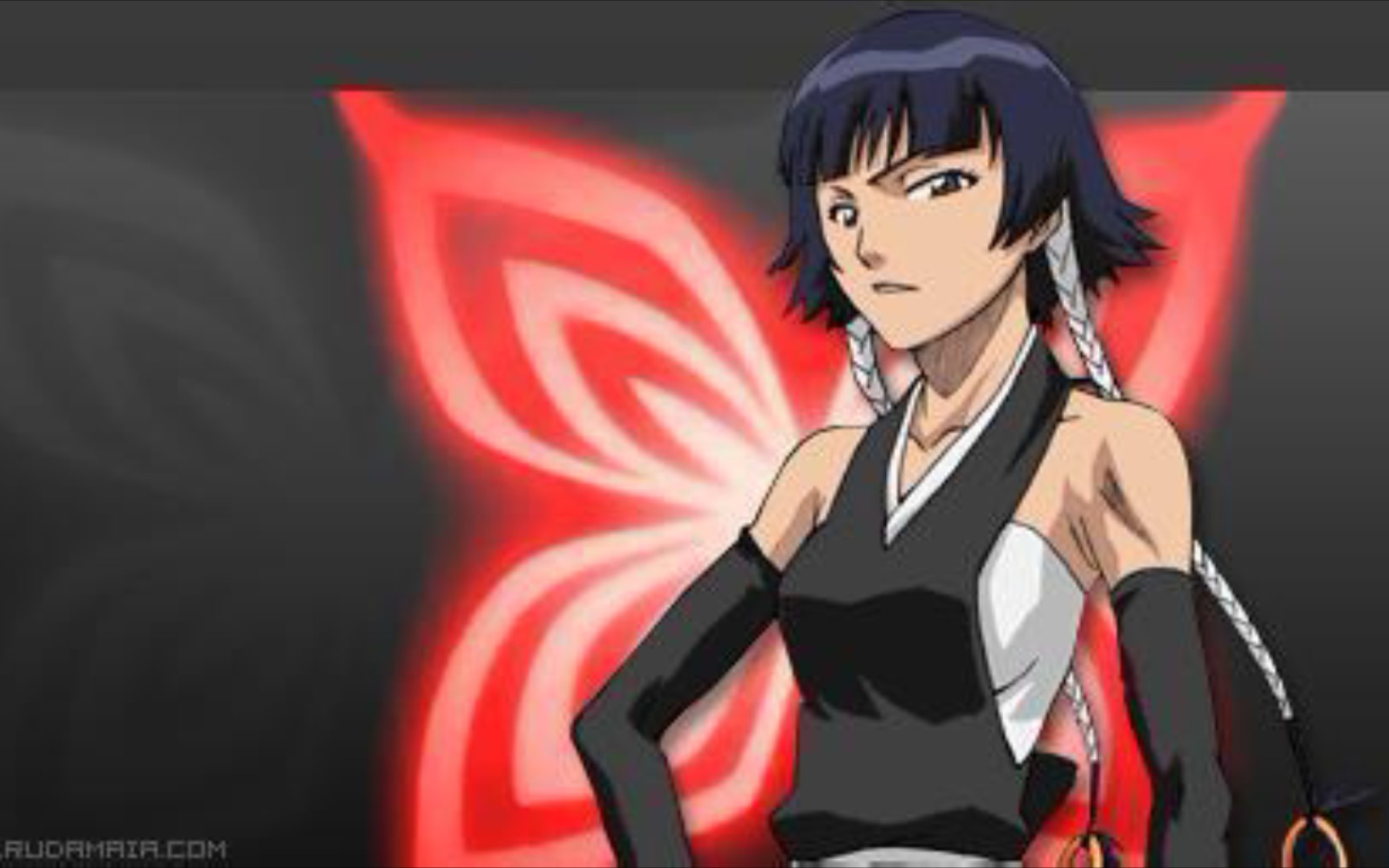 碎蜂观赏性十割_哔哩哔哩_bilibili