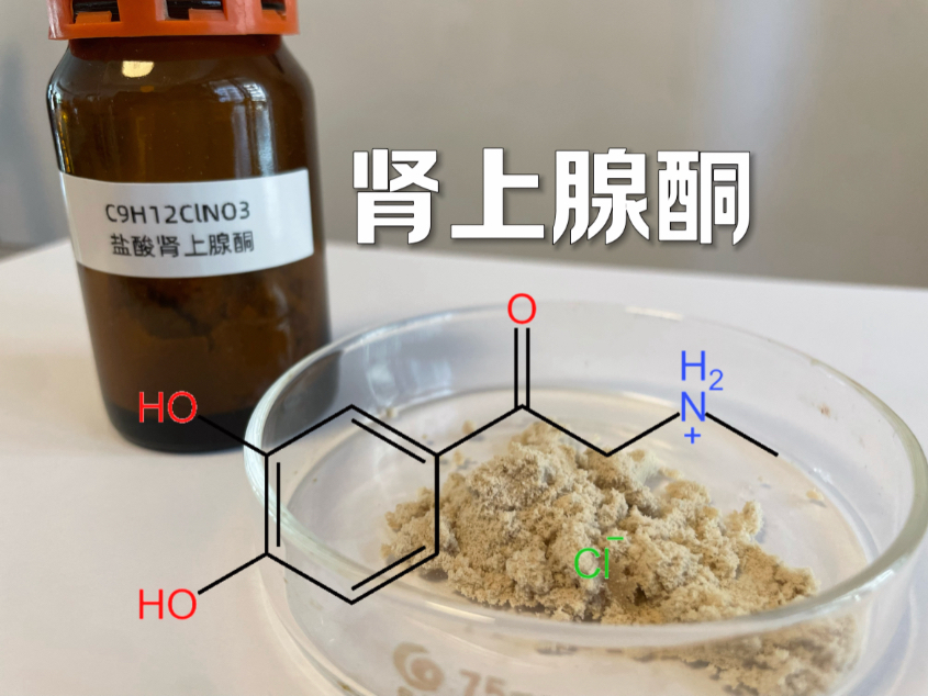 【药物合成】肾上腺素中间体肾上腺酮的合成哔哩哔哩bilibili