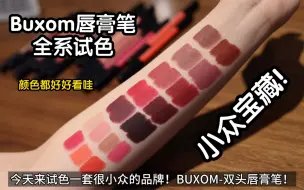 Download Video: 【全系试色】超超超小众！！BUXOM双头唇膏笔！颜色都好绝！！