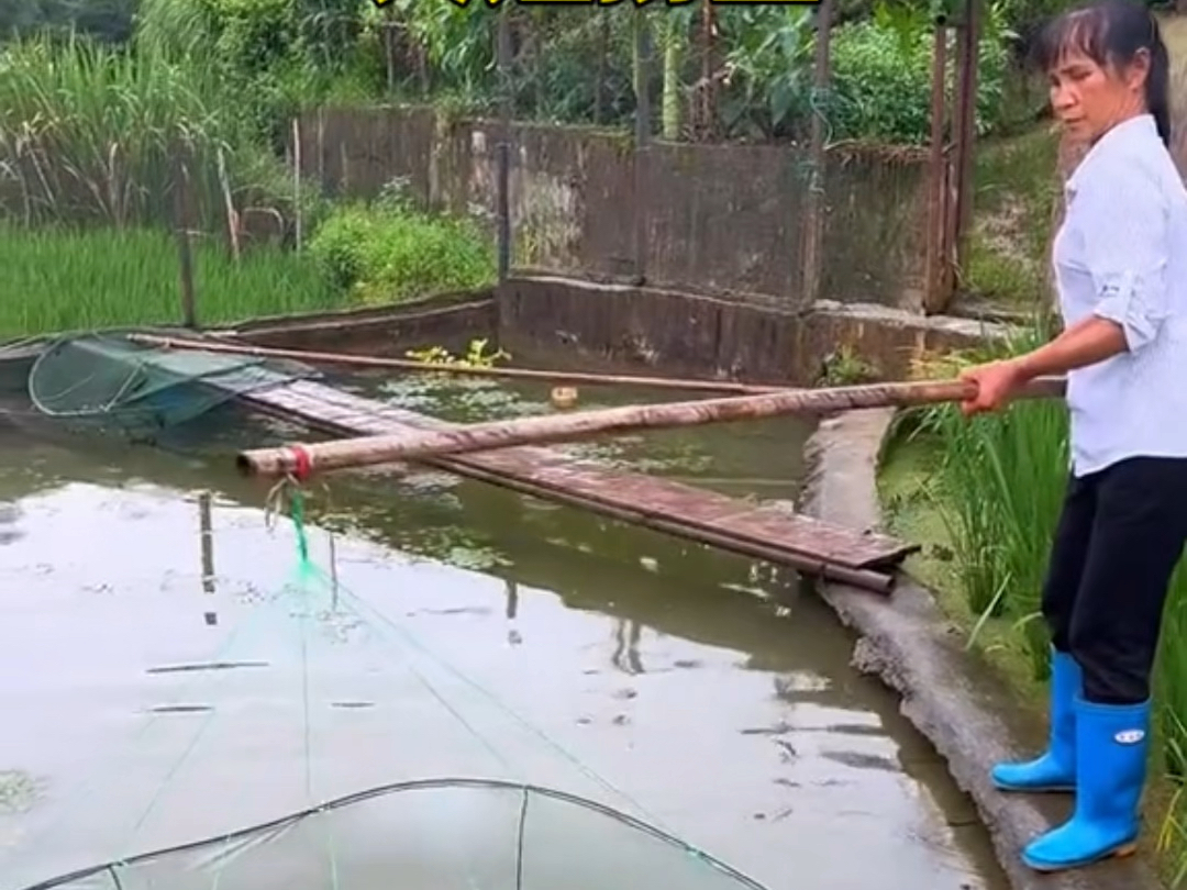 大姐捞鱼,真有两下子