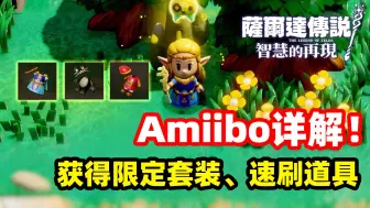 Download Video: Amiibo掉落详解！获得限定套装、速刷道具【塞尔达传说 智慧的再现】