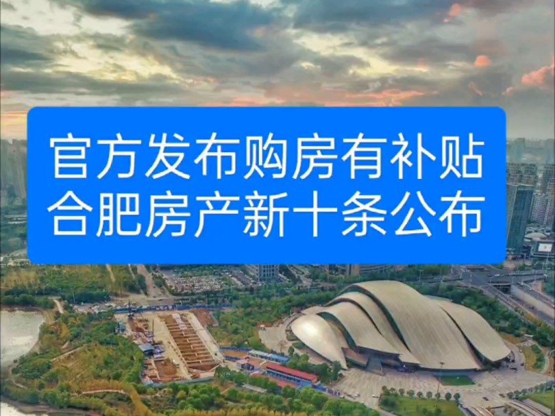 重磅发布,购房有补贴,合肥房产政策十大关键点!5月15日,合肥官方发布房产政策调整新十条:哔哩哔哩bilibili