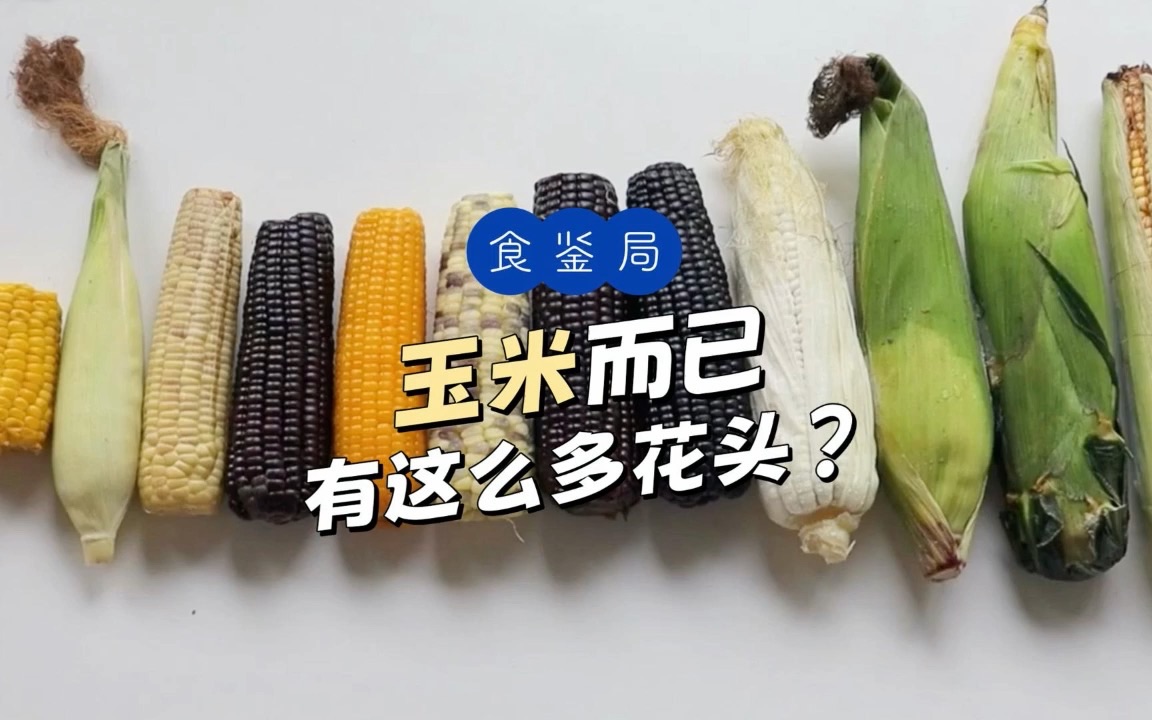 一根玉米,能有多少种型号和色号?哔哩哔哩bilibili