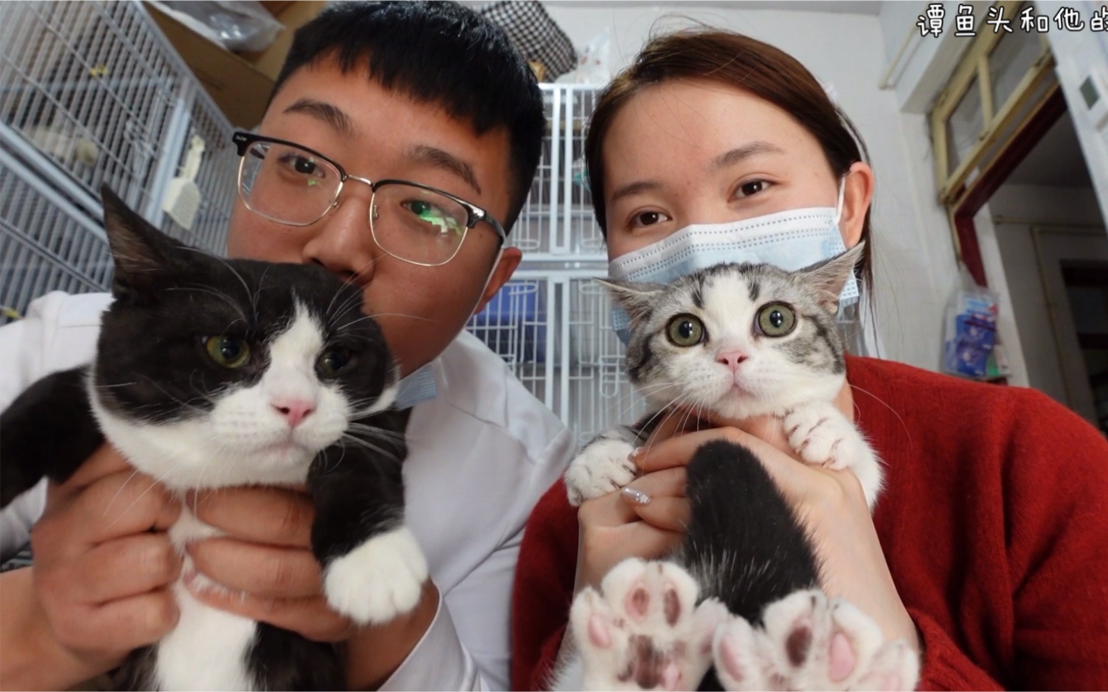 无良猫主人,把猫咪送到猫咖打工赚钱!哔哩哔哩bilibili