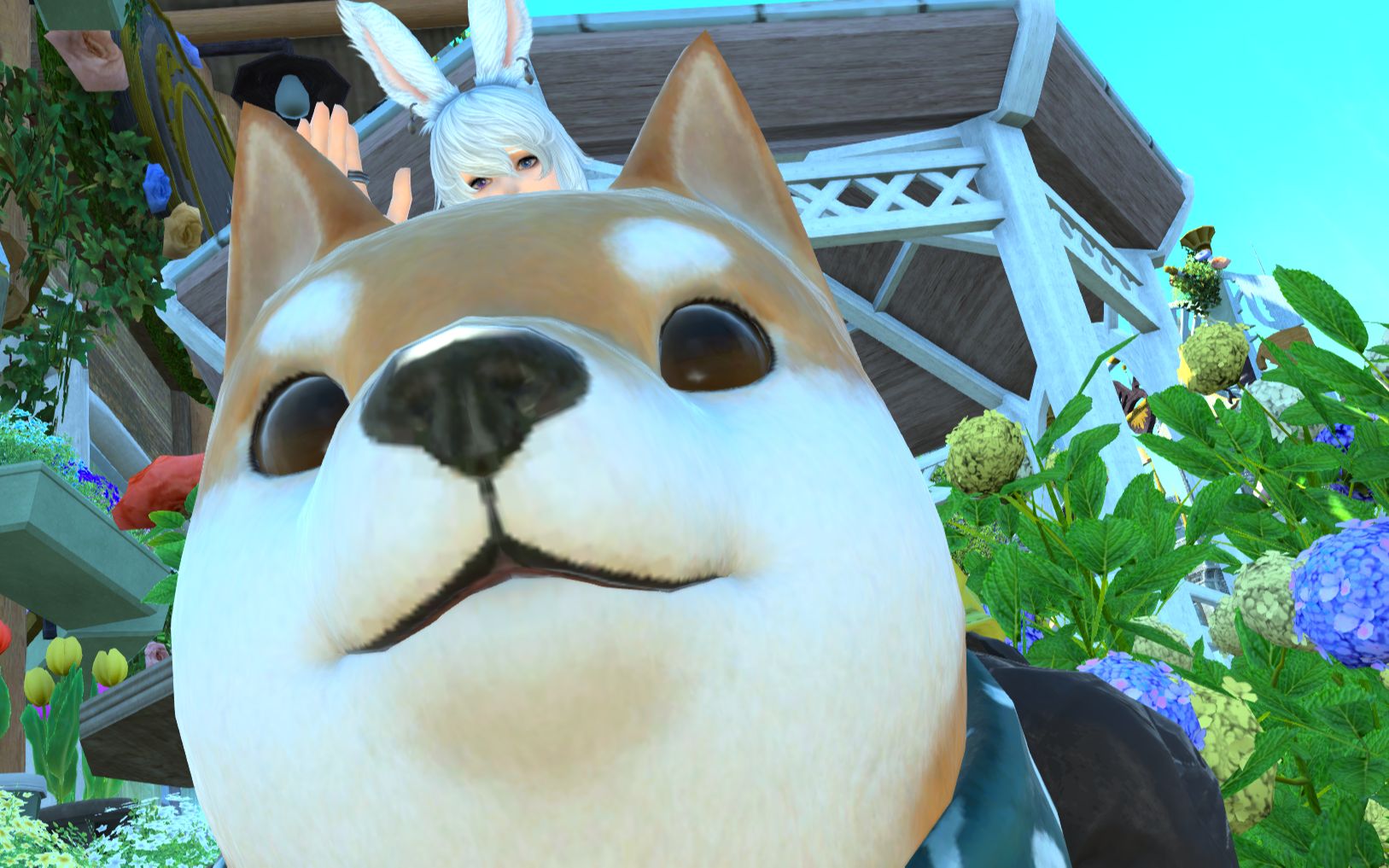 【ff14】兔男美照合集(自家的)