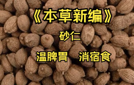 [图]《本草新编》砂仁 温脾胃 消宿食