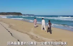 Descargar video: 【恋爱兄妹】终极预告