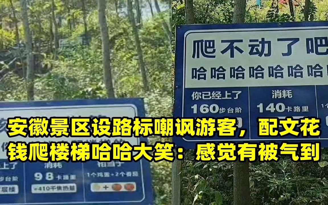 安徽景区设路标嘲讽游客,配文花钱爬楼梯哈哈大笑:感觉有被气到哔哩哔哩bilibili