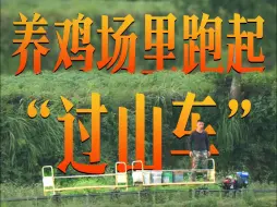 Video herunterladen: 养鸡场里跑起“过山车”？