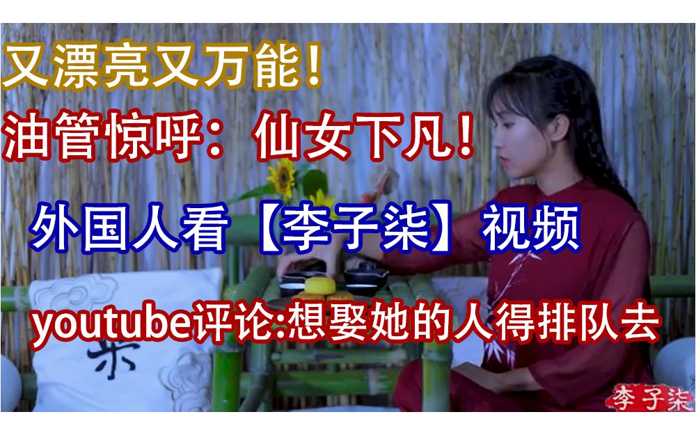 【YouTube评论翻译】外国人看【李子柒】手工制作视频评论翻译:小姐姐漂亮又万能,仙女下凡了!想娶!哔哩哔哩bilibili