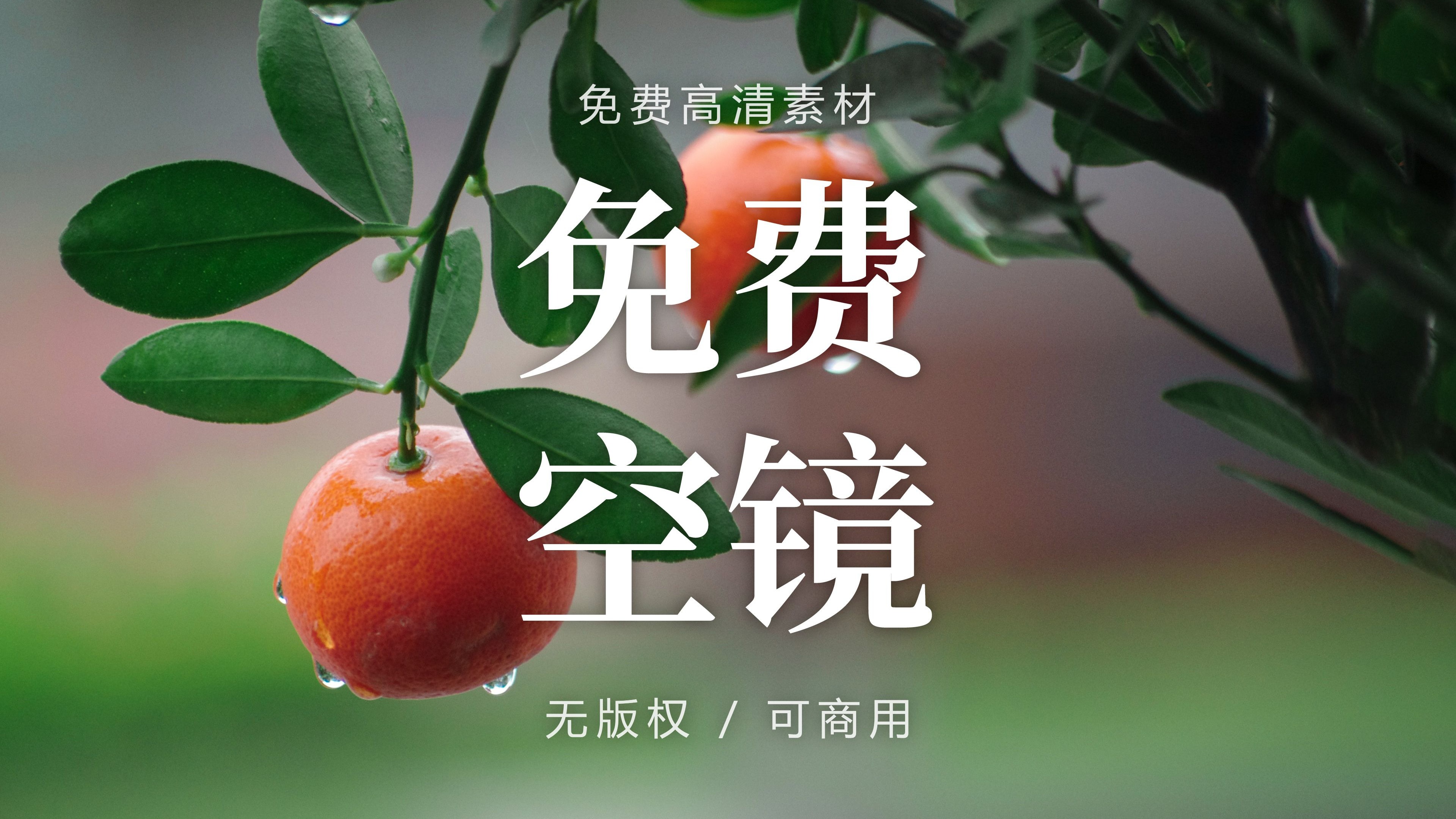 【空镜素材】‌橙黄橘绿时，秋意浓处的人生诗行·治愈轻音乐与季节视频素材