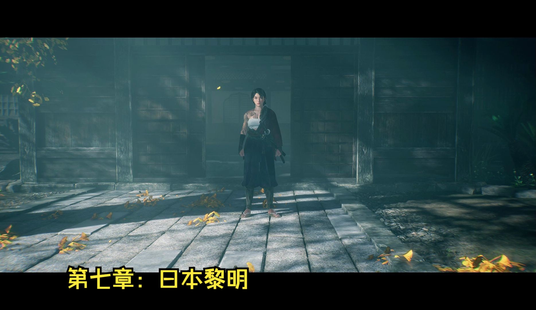 浪人崛起 一周目中文剧情视频流程合集(第七章:日本黎明)